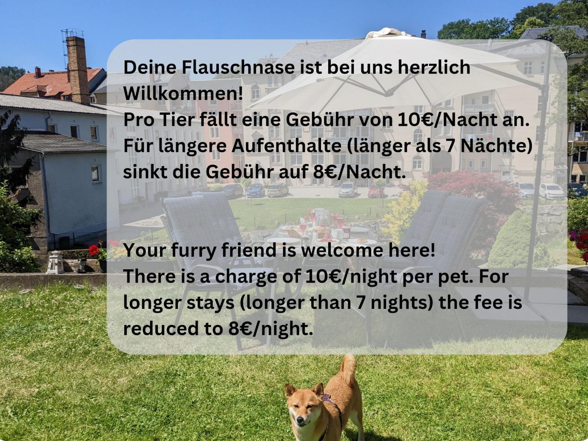 Hw2B - Urlaubsmagie - Wohlfuehlwohnung Mit Balkon, Pool, Sauna & Terrasse Sebnitz Exterior photo